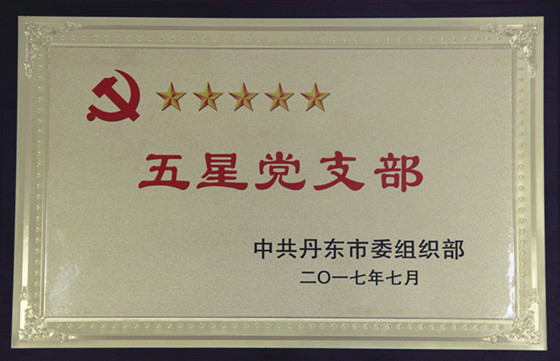 党支部规范化建设副本