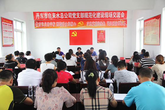 党支部规范化建设交流_副本